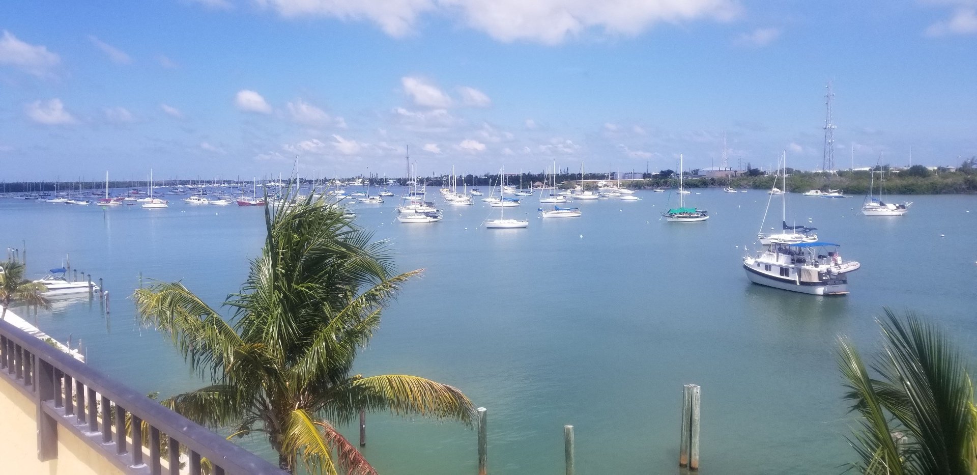 The Turtle Hospital in the Florida Keys